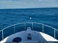 Great day of scuba diving in Key Largo with Rainbow Reef on snapper ledge tropical destiny 2019 12 24 r9059 1