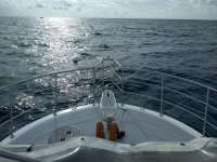 Great day of scuba diving in Key Largo with Rainbow Reef on snapper ledge tropical odyssey 2019 12 13 r9015 1