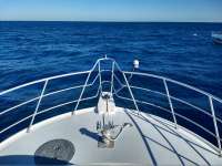 Great day of scuba diving in Key Largo with Rainbow Reef on spiegel grove tropical adventure 2019 12 15 r9030 1
