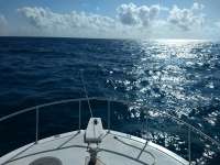 Great day of scuba diving in Key Largo with Rainbow Reef on benwood wreck tropical destiny 2019 02 01 r7791 1