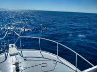 Great day of scuba diving in Key Largo with Rainbow Reef on christ statue santana 2019 02 28 r7885 1