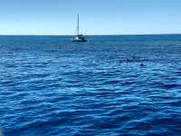 Great day of scuba diving in Key Largo with Rainbow Reef on christ statue tropical serenity 2019 02 03 r7801 1