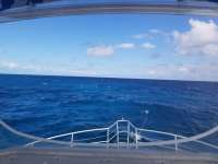 Great day of scuba diving in Key Largo with Rainbow Reef on christmastree cave tropical odyssey 2019 02 09 r7828 1