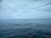 Great day of scuba diving in Key Largo with Rainbow Reef on city of washington tropical adventure 2019 02 15 r7839 1