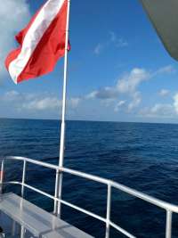 Great day of scuba diving in Key Largo with Rainbow Reef on city of washington tropical legend 2019 02 18 r7855 1