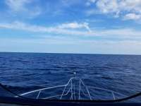Great day of scuba diving in Key Largo with Rainbow Reef on eagle ray alley tropical adventure 2019 02 16 r7840 1