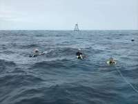 Great day of scuba diving in Key Largo with Rainbow Reef on eagle ray alley tropical adventure 2019 02 23 r7866 1