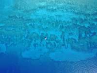 Great day of scuba diving in Key Largo with Rainbow Reef on eagle ray alley tropical adventure 2019 02 27 r7880 2