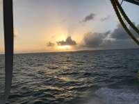 Great day of scuba diving in Key Largo with Rainbow Reef on eagle ray alley tropical destiny 2019 02 23 r7872 1
