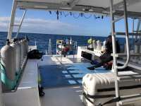 Great day of scuba diving in Key Largo with Rainbow Reef on hole in the wall tropical serenity 2019 02 08 r7821 1