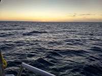 Great day of scuba diving in Key Largo with Rainbow Reef on molasses reef santana 2019 02 14 r7835 1
