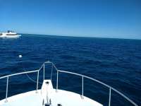 Great day of scuba diving in Key Largo with Rainbow Reef on molasses reef santana 2019 02 28 r7884 2