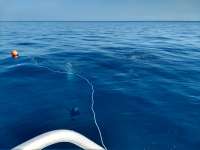 Great day of scuba diving in Key Largo with Rainbow Reef on molasses reef tropical destiny 2019 02 04 r7806 1