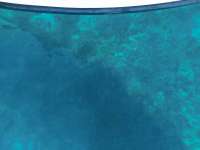 Great day of scuba diving in Key Largo with Rainbow Reef on molasses reef tropical destiny 2019 02 04 r7806 2