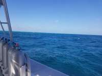 Great day of scuba diving in Key Largo with Rainbow Reef on north star santana 2019 02 12 r7831 1