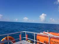 Great day of scuba diving in Key Largo with Rainbow Reef on snapper ledge tropical legend 2019 02 22 r7859 1