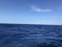 Great day of scuba diving in Key Largo with Rainbow Reef on spiegel grove tropical adventure 2019 02 23 r7870 1