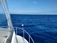 Great day of scuba diving in Key Largo with Rainbow Reef on spiegel grove tropical destiny 2019 02 04 r7804 2