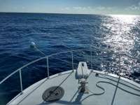Great day of scuba diving in Key Largo with Rainbow Reef on spiegel grove tropical destiny 2019 02 08 r7820 2