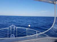 Great day of scuba diving in Key Largo with Rainbow Reef on spiegel grove tropical odyssey 2019 02 05 r7807 1