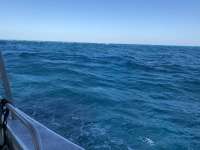 Great day of scuba diving in Key Largo with Rainbow Reef on woodys santana 2019 02 19 r7856 1