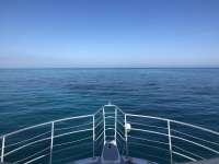Great day of scuba diving in Key Largo with Rainbow Reef on banana patch tropical odyssey 2019 01 14 r7741 1