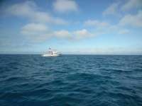 Great day of scuba diving in Key Largo with Rainbow Reef on benwood wreck tropical adventure 2019 01 06 r7709 1
