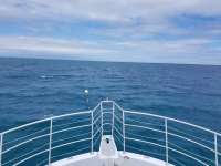 Great day of scuba diving in Key Largo with Rainbow Reef on benwood wreck tropical odyssey 2019 01 30 r7787 1