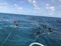 Great day of scuba diving in Key Largo with Rainbow Reef on eagle ray alley tropical destiny 2019 01 19 r7767 1