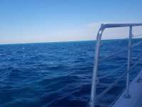 Great day of scuba diving in Key Largo with Rainbow Reef on eagle ray alley tropical legend 2019 01 09 r7720 1