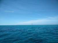 Great day of scuba diving in Key Largo with Rainbow Reef on eagle ray alley tropical legend 2019 01 18 r7759 1