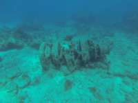 Great day of scuba diving in Key Largo with Rainbow Reef on eagle ray alley tropical legend 2019 01 29 r7785 2