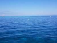 Great day of scuba diving in Key Largo with Rainbow Reef on fire coral cave tropical serenity 2019 01 14 r7742 1