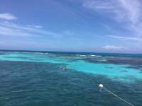 Great day of scuba diving in Key Largo with Rainbow Reef on fire coral cave tropical serenity 2019 01 30 r7786 1