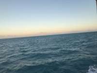 Great day of scuba diving in Key Largo with Rainbow Reef on french deep santana 2019 01 02 r7688 1
