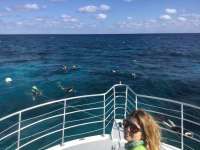 Great day of scuba diving in Key Largo with Rainbow Reef on molasses reef tropical odyssey 2019 01 07 r7714 1