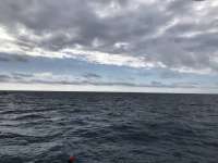 Great day of scuba diving in Key Largo with Rainbow Reef on north star tropical legend 2019 01 05 r7701 1