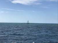 Great day of scuba diving in Key Largo with Rainbow Reef on north star tropical legend 2019 01 05 r7702 1