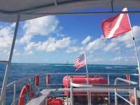 Great day of scuba diving in Key Largo with Rainbow Reef on north star tropical odyssey 2019 01 12 r7730 1