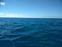 Great day of scuba diving in Key Largo with Rainbow Reef on snapper ledge tropical destiny 2019 01 29 r7779 1