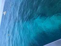 Great day of scuba diving in Key Largo with Rainbow Reef on snapper ledge tropical legend 2019 01 13 r7736 1