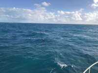 Great day of scuba diving in Key Largo with Rainbow Reef on snapper ledge tropical serenity 2019 01 01 r7676 1
