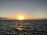Great day of scuba diving in Key Largo with Rainbow Reef on snapper ledge tropical serenity 2019 01 01 r7683 1