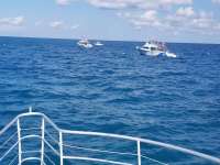 Great day of scuba diving in Key Largo with Rainbow Reef on spanish anchor tropical odyssey 2019 01 17 r7753 1