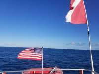 Great day of scuba diving in Key Largo with Rainbow Reef on spiegel grove tropical odyssey 2019 01 08 r7717 1