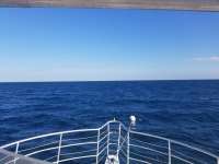 Great day of scuba diving in Key Largo with Rainbow Reef on spiegel grove tropical odyssey 2019 01 17 r7752 1