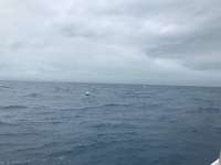 Great day of scuba diving in Key Largo with Rainbow Reef on spiegel grove tropical odyssey 2019 01 26 r7775 1