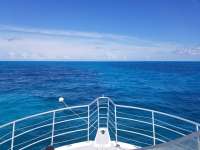 Great day of scuba diving in Key Largo with Rainbow Reef on banana patch tropical odyssey 2019 07 22 r8592 1