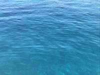 Great day of scuba diving in Key Largo with Rainbow Reef on benwood wreck tropical adventure 2019 07 01 r8506 1
