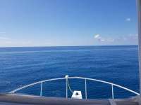 Great day of scuba diving in Key Largo with Rainbow Reef on benwood wreck tropical destiny 2019 07 23 r8595 1